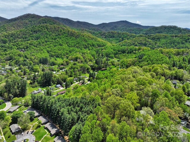 9999 Cavalier Dr, Waynesville, NC 28786