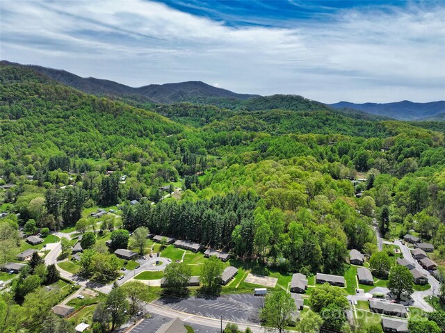 9999 Cavalier Dr, Waynesville, NC 28786
