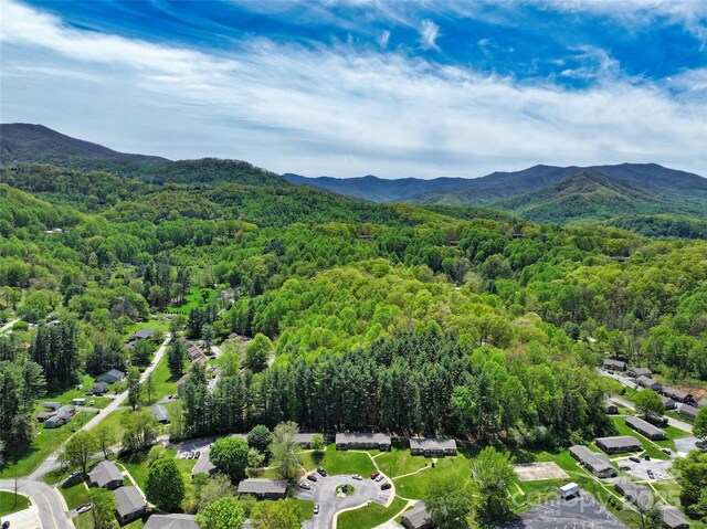 9999 Cavalier Dr, Waynesville, NC 28786