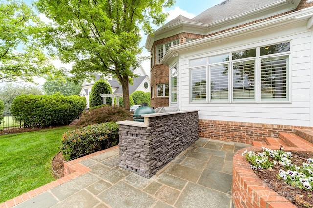 view of patio / terrace with grilling area and an outdoor kitchen