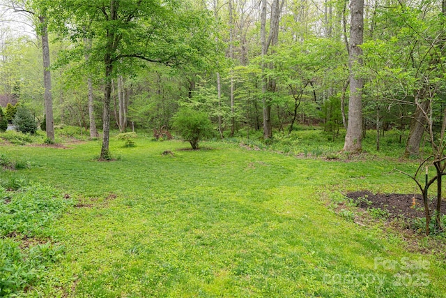 2057 Riceville Rd, Asheville, NC 28805 - photo 44