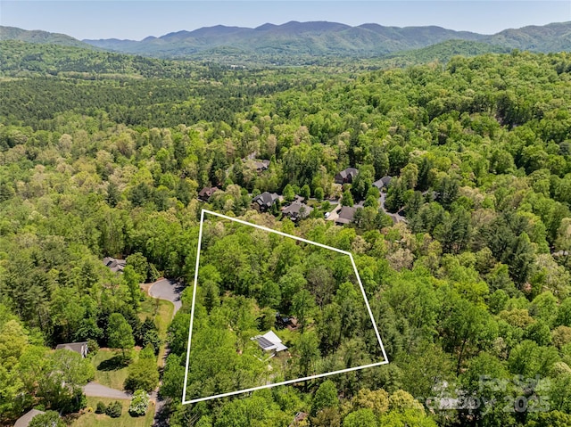 2057 Riceville Rd, Asheville, NC 28805 - photo 47