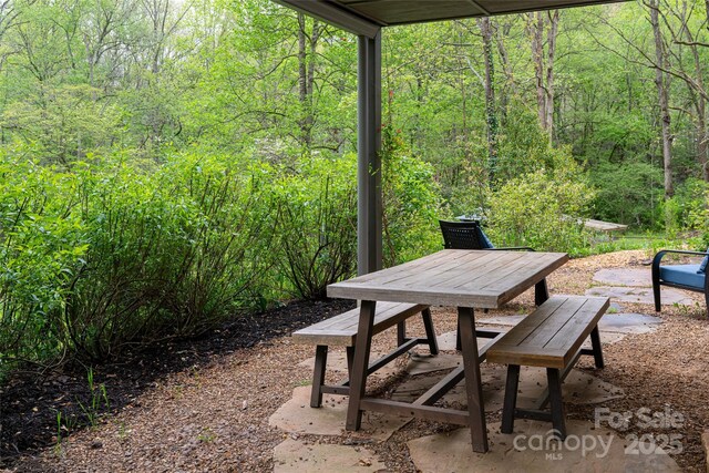 2057 Riceville Rd, Asheville, NC 28805 - photo 40