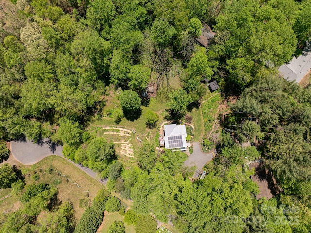 2057 Riceville Rd, Asheville, NC 28805 - photo 48
