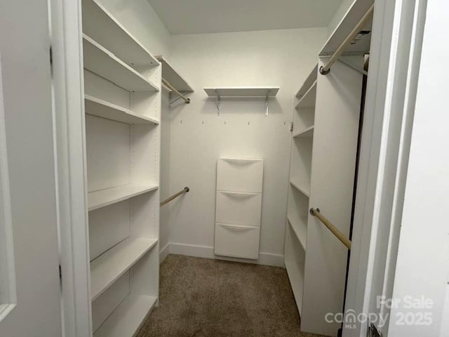1101 W 1st St Unit 408, Charlotte, NC 28202 - spacious closet with carpet floors