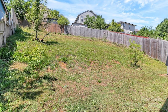 view of yard