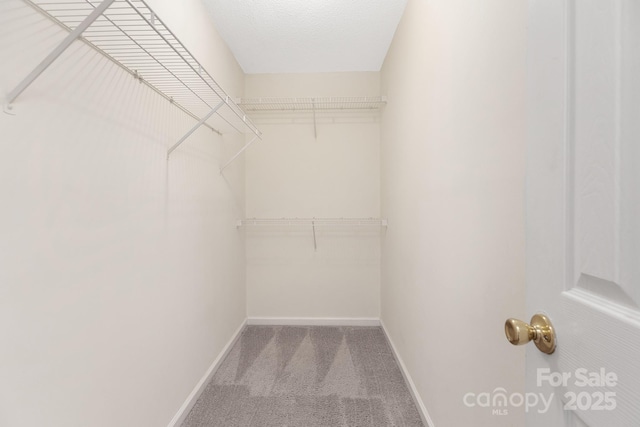 spacious closet with carpet