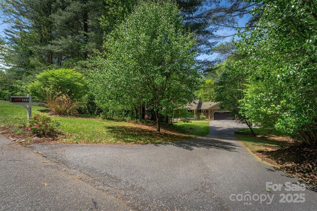 331 Thomas Rd, Hendersonville, NC 28739 - photo 6