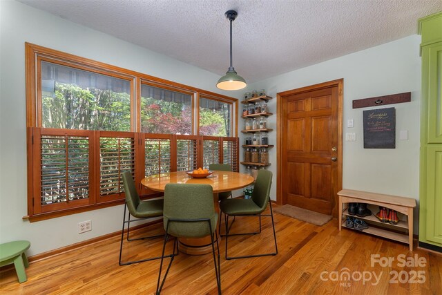 331 Thomas Rd, Hendersonville, NC 28739 - photo 22
