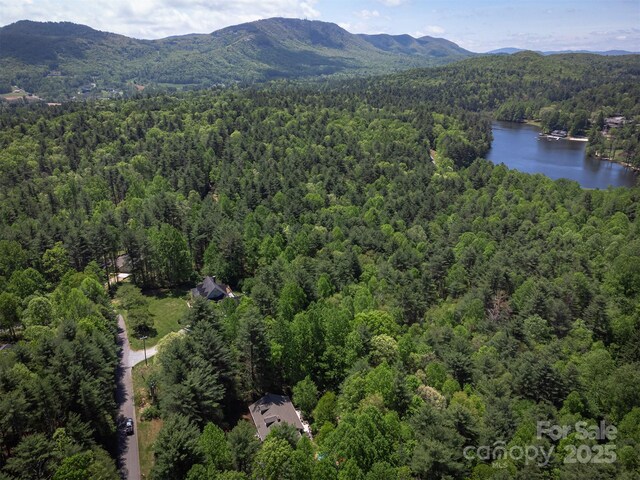 331 Thomas Rd, Hendersonville, NC 28739 - photo 45