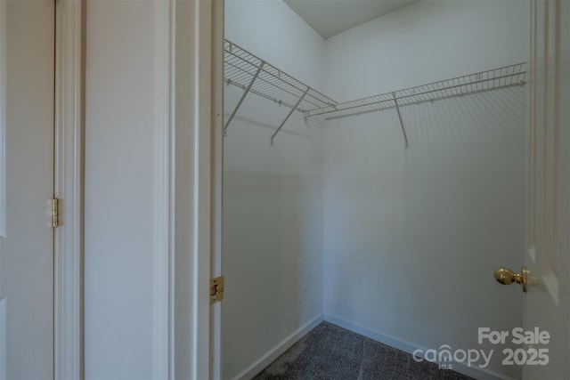 6808 Squirrels Foot Ct, Charlotte, NC 28217 - spacious closet with dark colored carpet