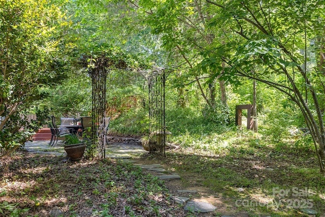3710 Cheleys Ridge Ln, Charlotte, NC 28270 - view of yard with a wooded view
