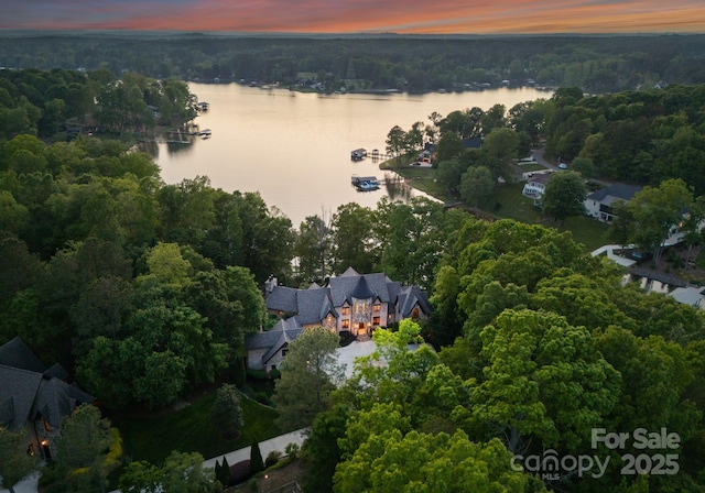 172 Tennessee Cir, Mooresville, NC 28117 - aerial view at dusk of a water view and a wooded view
