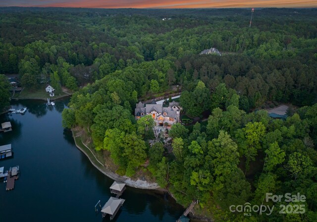 172 Tennessee Cir, Mooresville, NC 28117 - view of property location with a forest and a large body of water