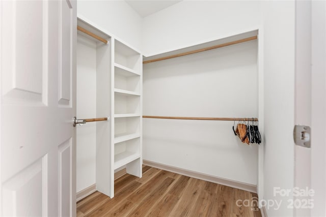 133 Water Leaf Dr, Weaverville, NC 28787 - walk in closet featuring wood finished floors