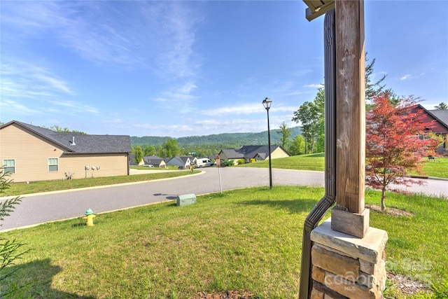 133 Water Leaf Dr, Weaverville, NC 28787 - view of green lawn