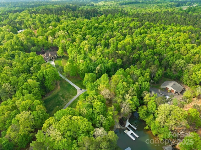 8451 Ridgewood Rd, Sherrills Ford, NC 28673 - birds eye view of property with a water view and a view of trees