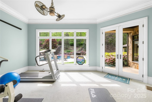 8451 Ridgewood Rd, Sherrills Ford, NC 28673 - exercise room featuring ornamental molding, french doors, and carpet flooring
