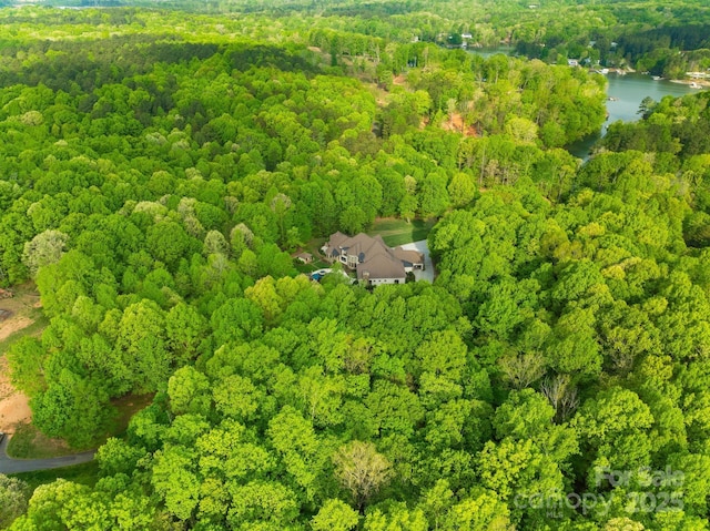 8451 Ridgewood Rd, Sherrills Ford, NC 28673 - birds eye view of property featuring a water view and a view of trees