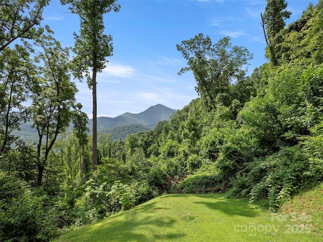 44 Sutton Knob Rd, Candler, NC 28715 - photo 41