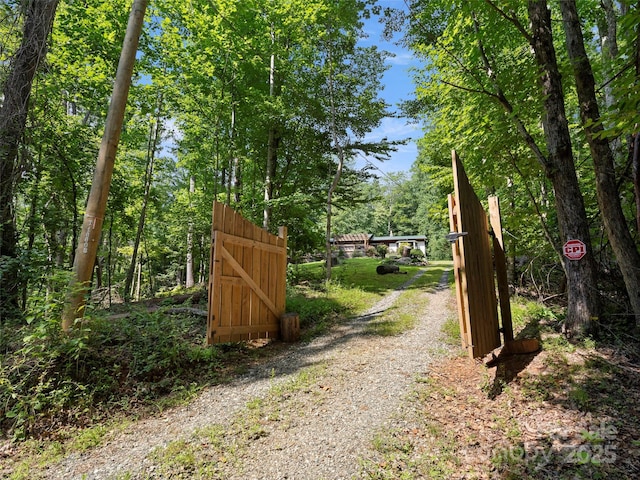 44 Sutton Knob Rd, Candler, NC 28715 - photo 43