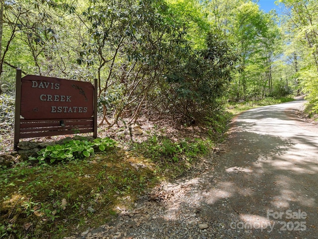 44 Sutton Knob Rd, Candler, NC 28715 - photo 45