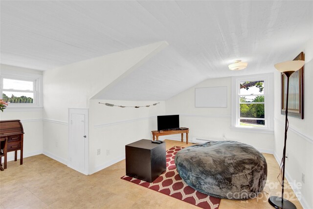 additional living space with lofted ceiling