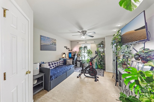 8259 Carob Tree Ln, Charlotte, NC 28215 - workout area featuring carpet flooring and a ceiling fan
