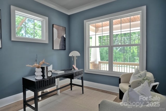 116 S Broad St, Waxhaw, NC 28173 - office space with baseboards, plenty of natural light, wood finished floors, and ornamental molding
