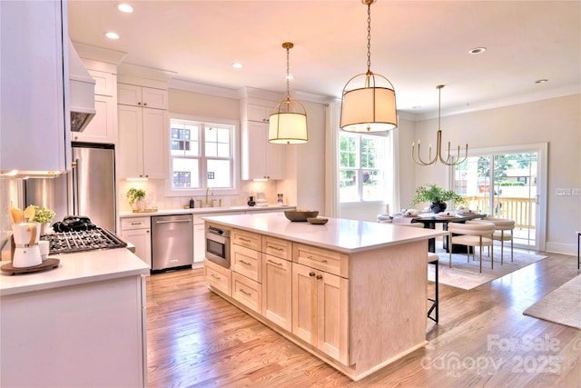 116 S Broad St, Waxhaw, NC 28173 - kitchen featuring light wood-type flooring, a sink, ornamental molding, and stainless steel appliances