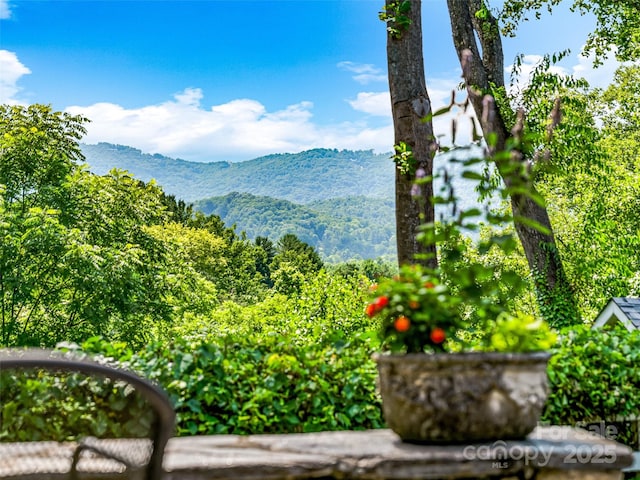 mountain view