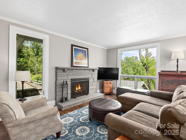 living room featuring crown molding, baseboards, wood finished floors, and a fireplace