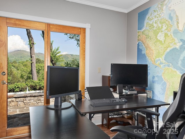 office with crown molding and wood finished floors