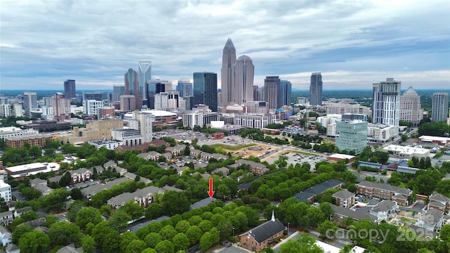 526 N Davidson St, Charlotte, NC 28202 - bird's eye view of city skyline