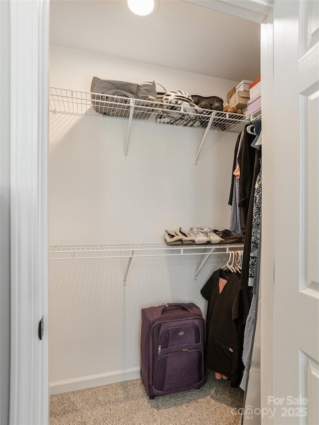 734 Enka Lake Rd, Candler, NC 28715 - walk in closet with carpet