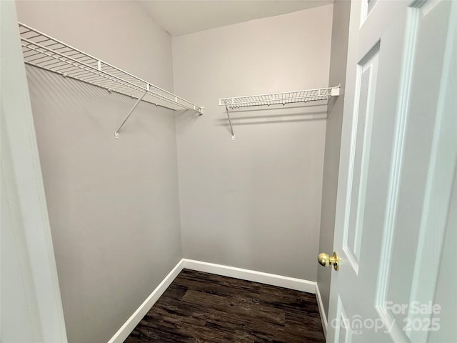 spacious closet with wood finished floors