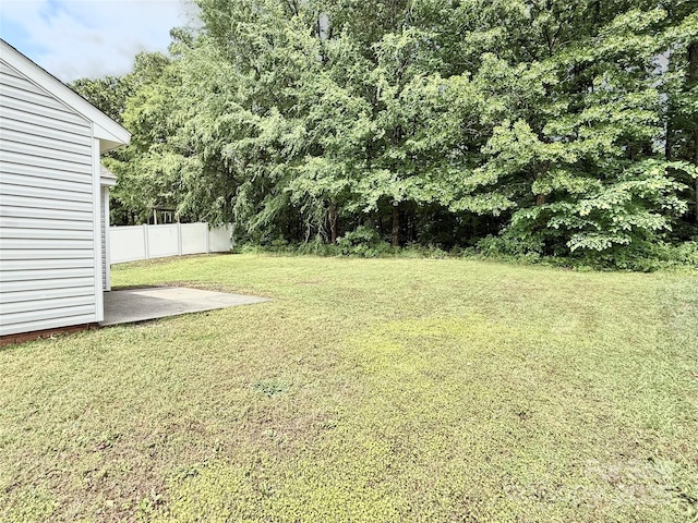 view of yard featuring a patio