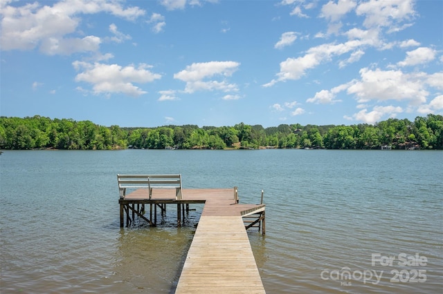 view of dock with a view of trees and a water view