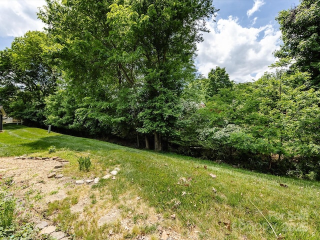 2502 Breuster Dr, Charlotte, NC 28210 - view of yard