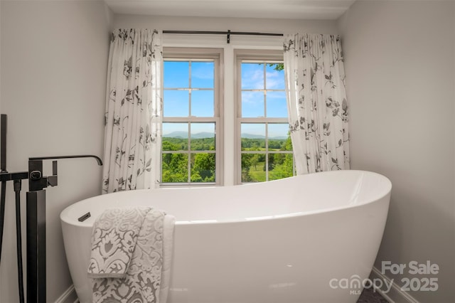 bathroom with a freestanding tub