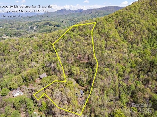 drone / aerial view featuring a view of trees and a mountain view