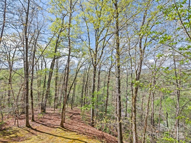 view of local wilderness featuring a view of trees
