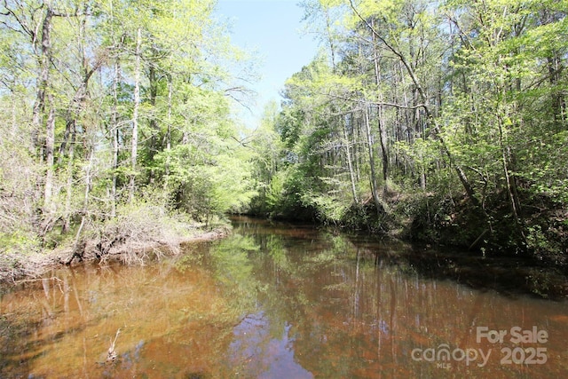 TBD Goldenrod Dr, Carthage, NC 28327 - photo 3