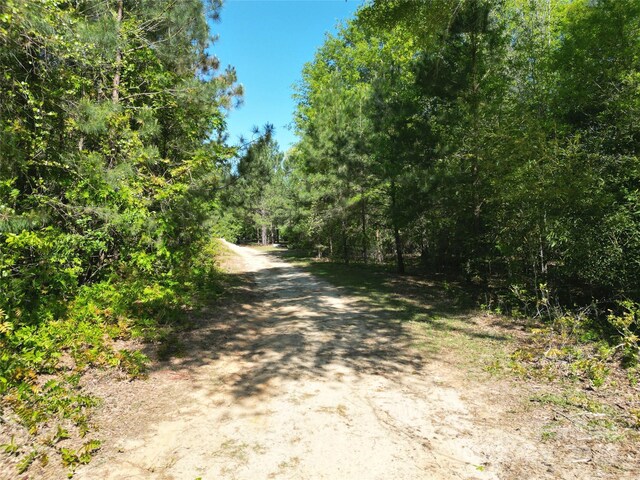 TBD Goldenrod Dr, Carthage, NC 28327 - photo 8