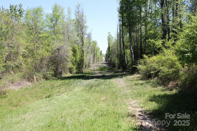 TBD Goldenrod Dr, Carthage, NC 28327 - photo 13