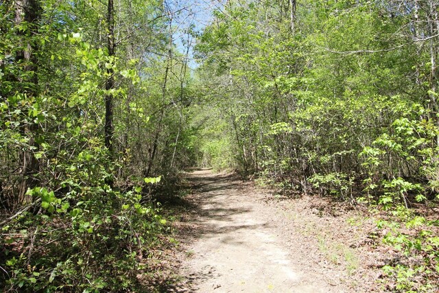 TBD Goldenrod Dr, Carthage, NC 28327 - photo 26