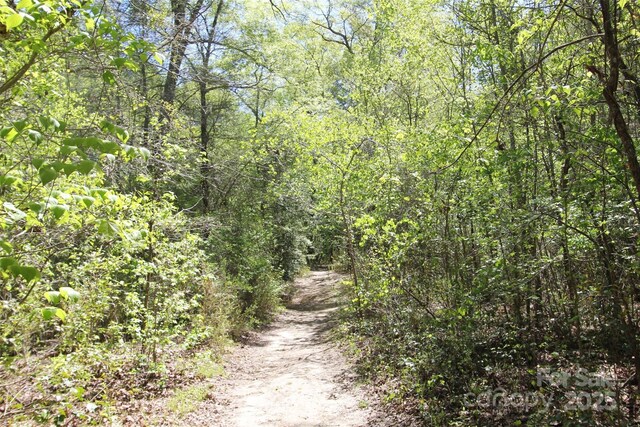 TBD Goldenrod Dr, Carthage, NC 28327 - photo 27