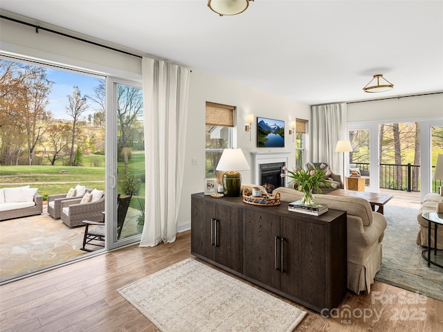 living area featuring a healthy amount of sunlight, a fireplace, and wood finished floors