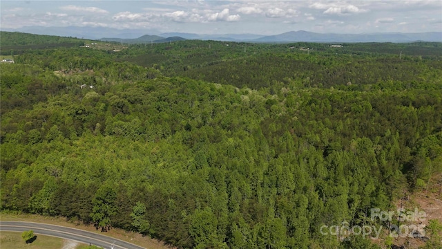 567 Drucilla Church Rd, Nebo, NC 28761