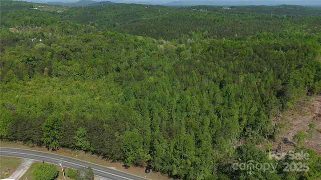 567 Drucilla Church Rd, Nebo, NC 28761